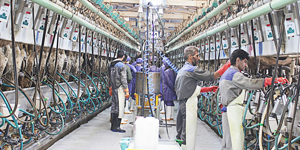 مجتمع شیر و گوشت علینقیان